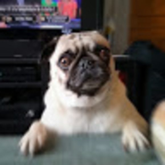 Meet your Posher, Glo - Picture 1 of 1